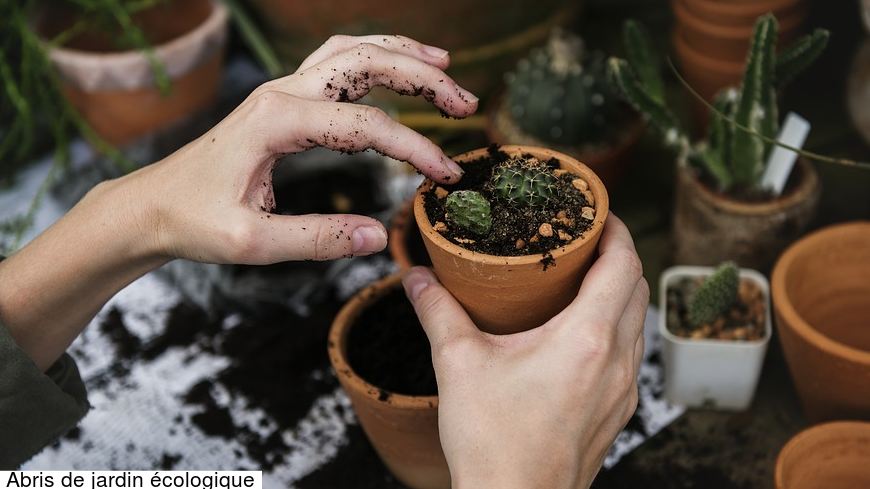 Abris de jardin écologique